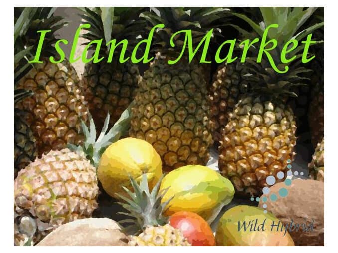 Island Market by Wild Hybrid