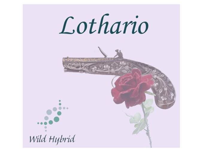 Lothario by Wild Hybrid