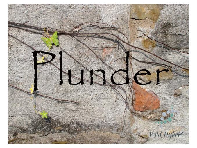 Plunder - Wild Hybrid by Wild Hybrid