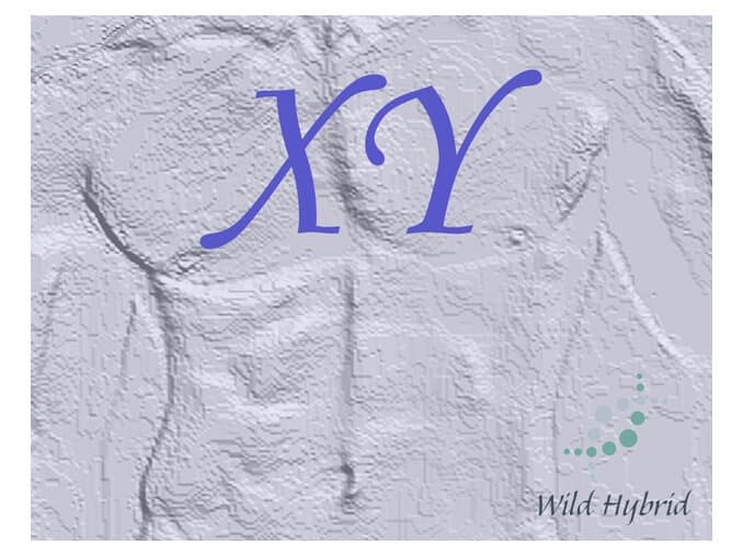 Xy by Wild Hybrid