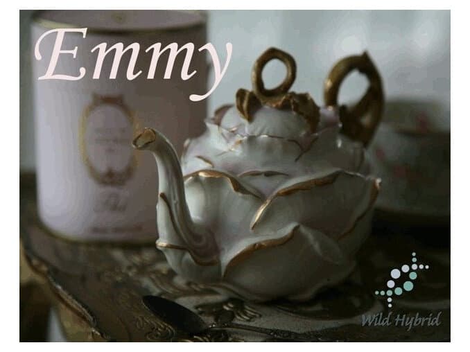 Emmy by Wild Hybrid