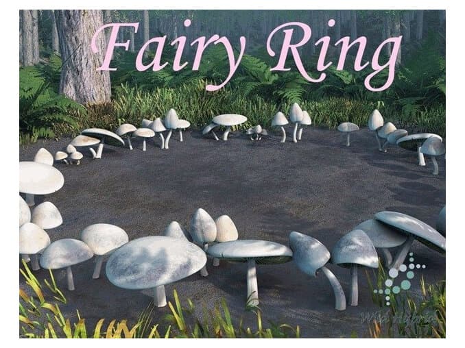 Fairy Ring by Wild Hybrid