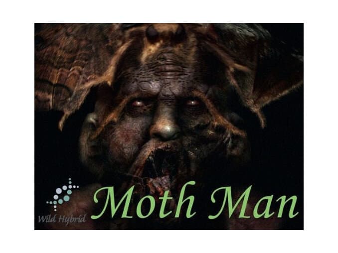 Moth Man by Wild Hybrid