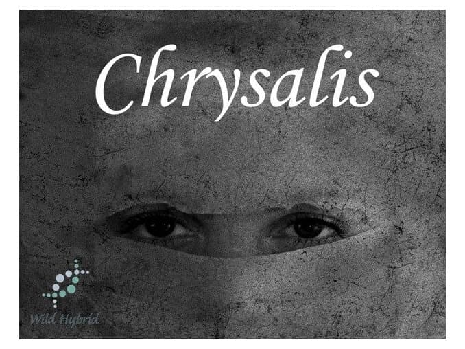 Chrysalis - Wild Hybrid by Wild Hybrid