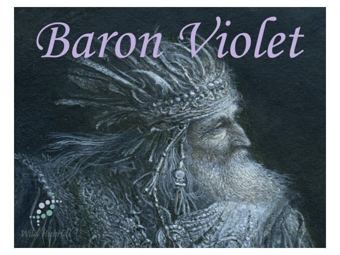 Baron Violet by Wild Hybrid