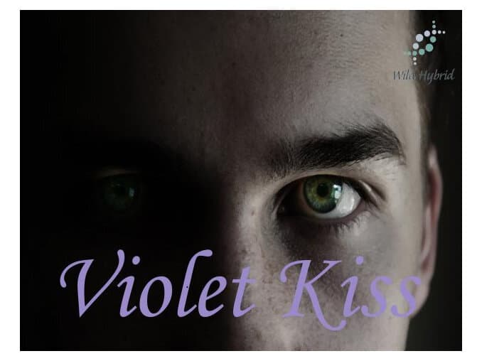 Violet Kiss by Wild Hybrid