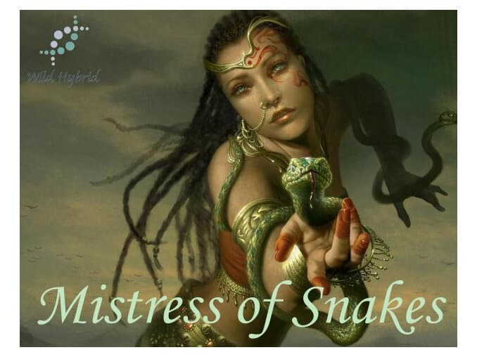 Mistress Of Snakes by Wild Hybrid