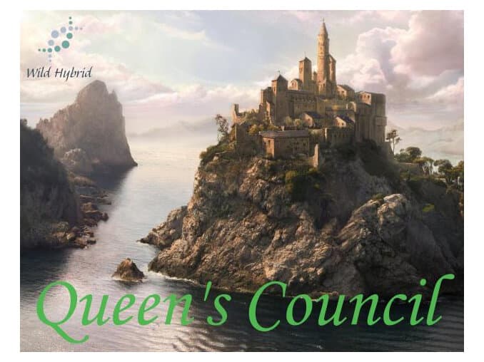 Queen's Council by Wild Hybrid