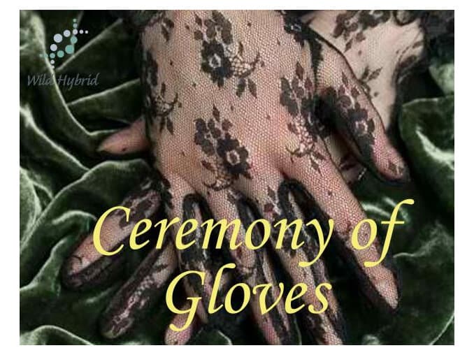 Ceremony Of Gloves by Wild Hybrid