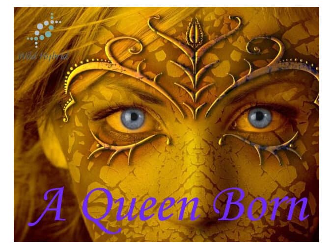 A Queen Born by Wild Hybrid