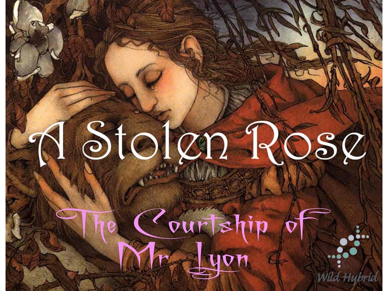 A Stolen Rose by Wild Hybrid