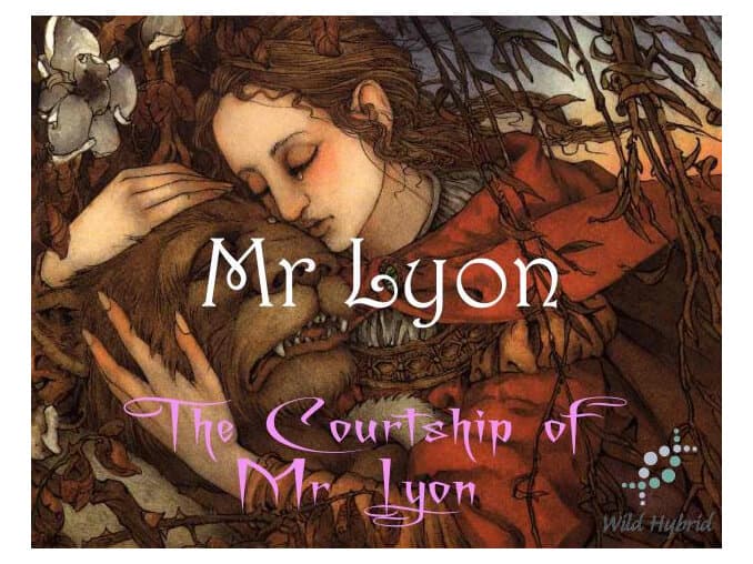 Mr Lyon by Wild Hybrid