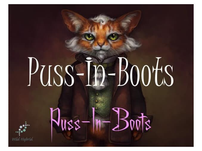 Puss-in-boots by Wild Hybrid