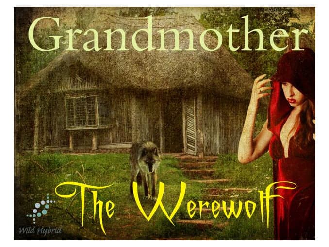 Grandmother by Wild Hybrid
