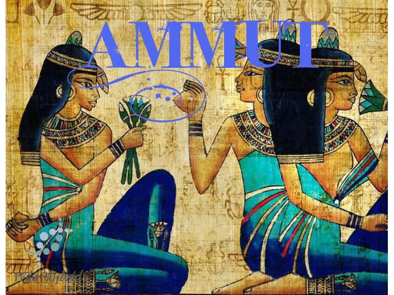 Ammut by Wild Hybrid