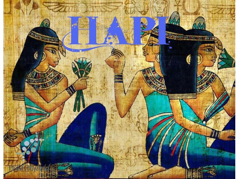 Hapi by Wild Hybrid