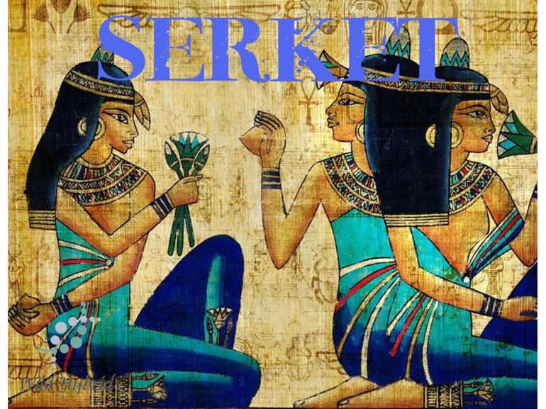 Serket by Wild Hybrid
