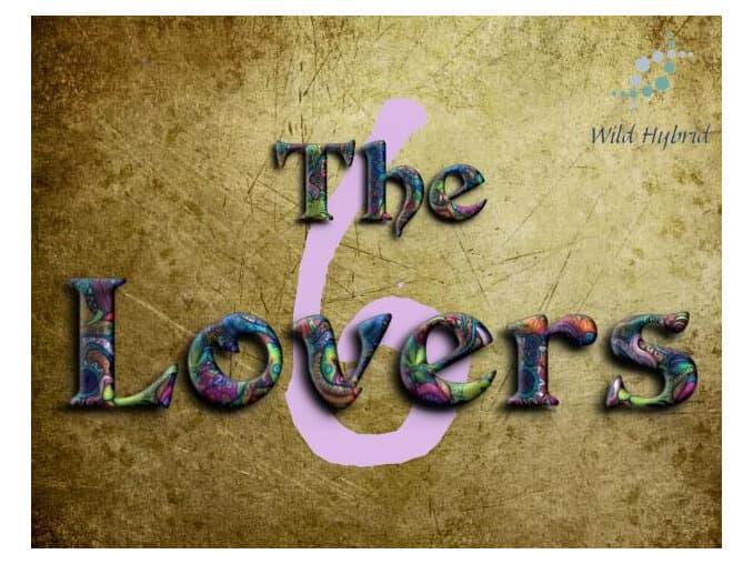 6 - The Lovers by Wild Hybrid