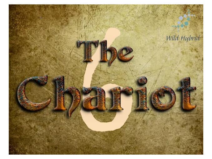 7 - The Chariot by Wild Hybrid