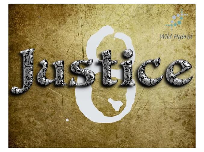 8 - Justice by Wild Hybrid