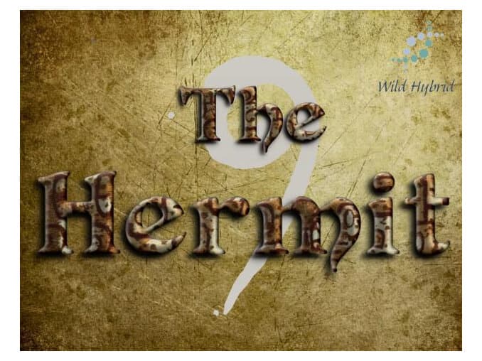 9 - The Hermit by Wild Hybrid