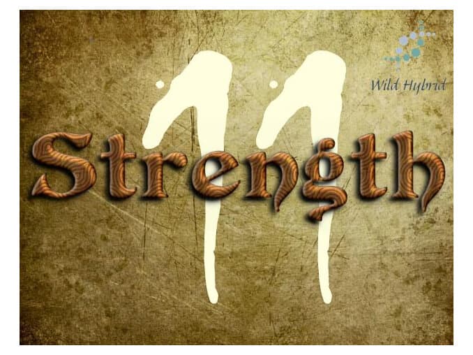 11 - Strength Perfume Bottle