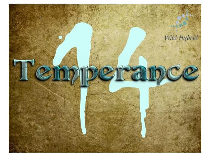 14 - Temperance Perfume Bottle