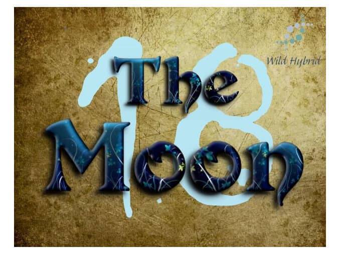 18 - The Moon by Wild Hybrid