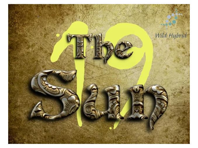 19 - The Sun by Wild Hybrid