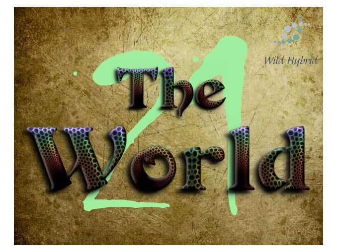 21 - The World by Wild Hybrid