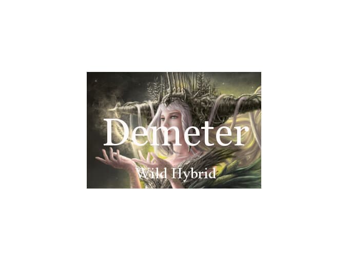 Demeter - Wild Hybrid by Wild Hybrid