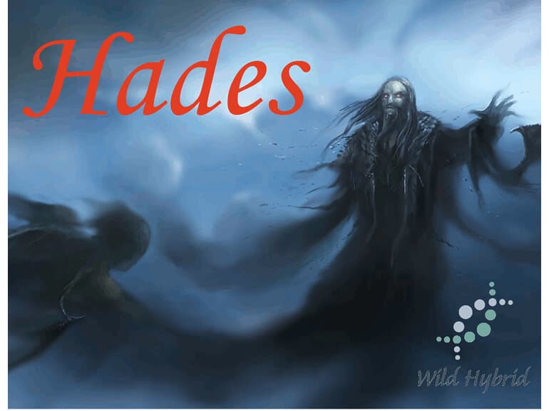 Hades by Wild Hybrid