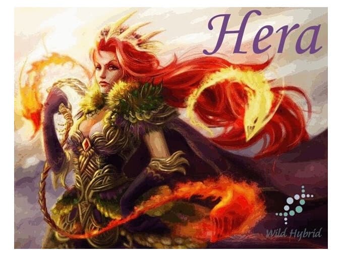 Hera - Wild Hybrid by Wild Hybrid
