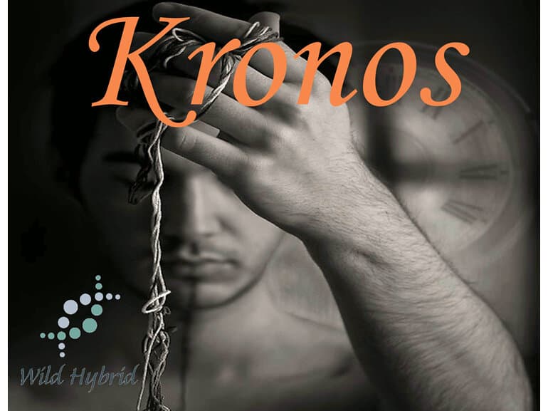 Kronos by Wild Hybrid