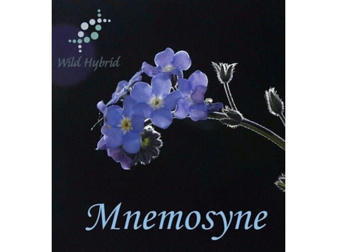 Mnemosyne by Wild Hybrid