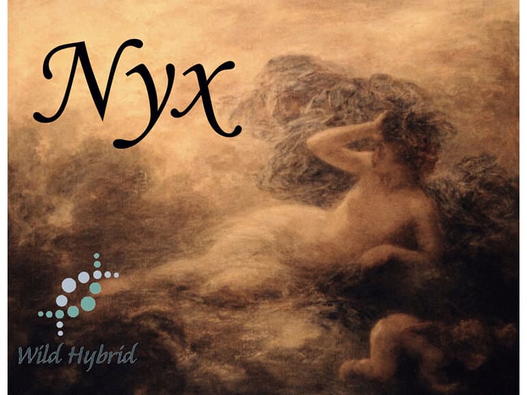 Nyx - Wild Hybrid by Wild Hybrid