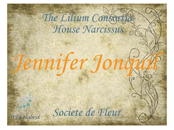 Jennifer Jonquil by Wild Hybrid