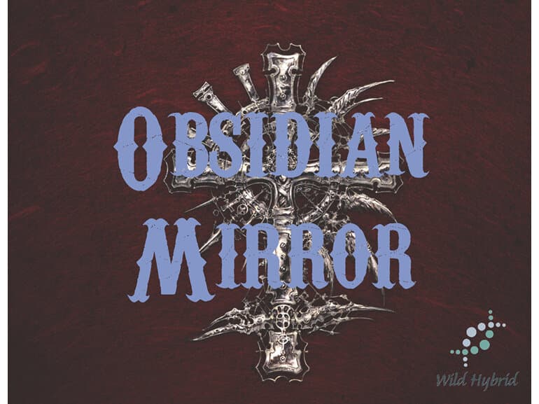 Obsidian Mirror by Wild Hybrid