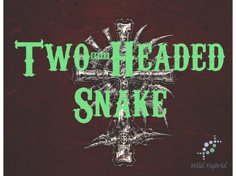 Two-headed Snake by Wild Hybrid
