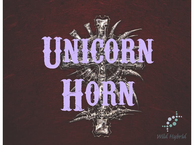Unicorn Horn - Wild Hybrid by Wild Hybrid