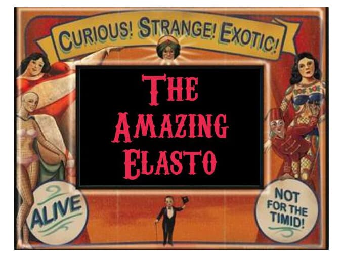 The Amazing Elasto by Wild Hybrid