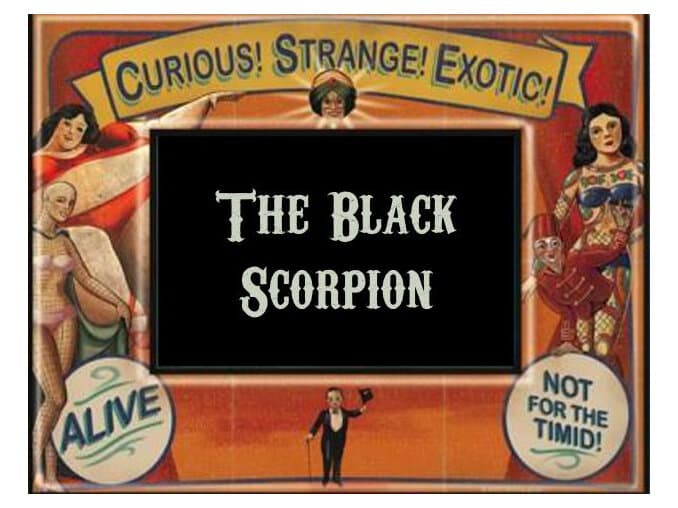 The Black Scorpion by Wild Hybrid