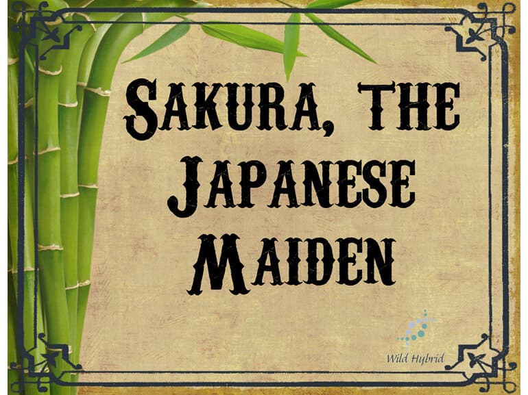 Sakura, The Japanese Maiden by Wild Hybrid