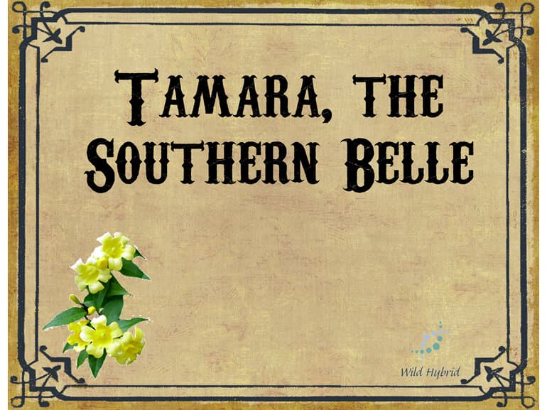 Tamara, The Southern Belle by Wild Hybrid