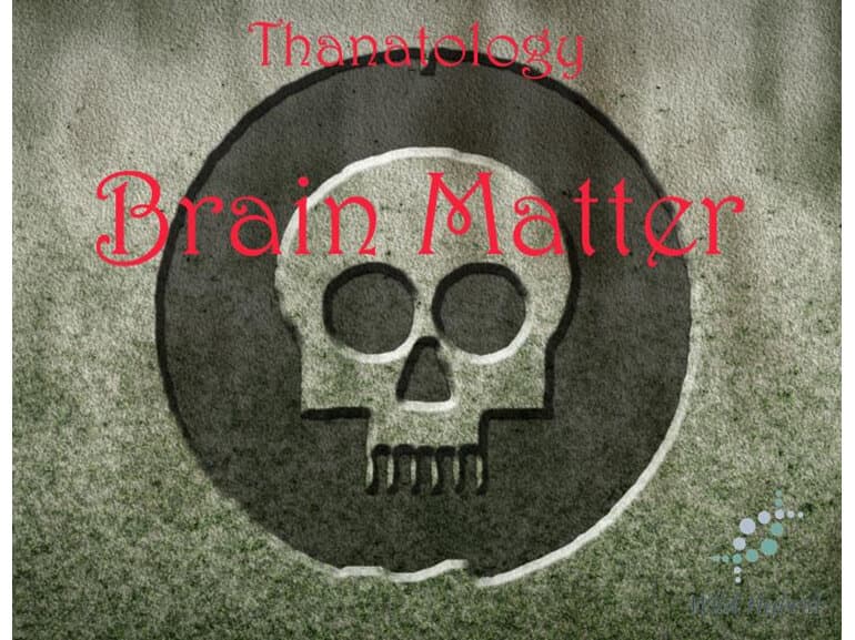 Brain Matter by Wild Hybrid