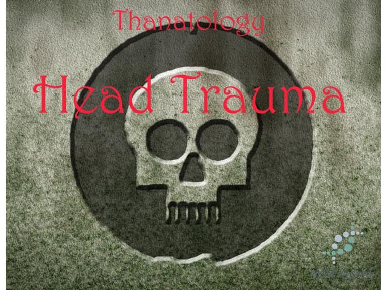Head Trauma by Wild Hybrid