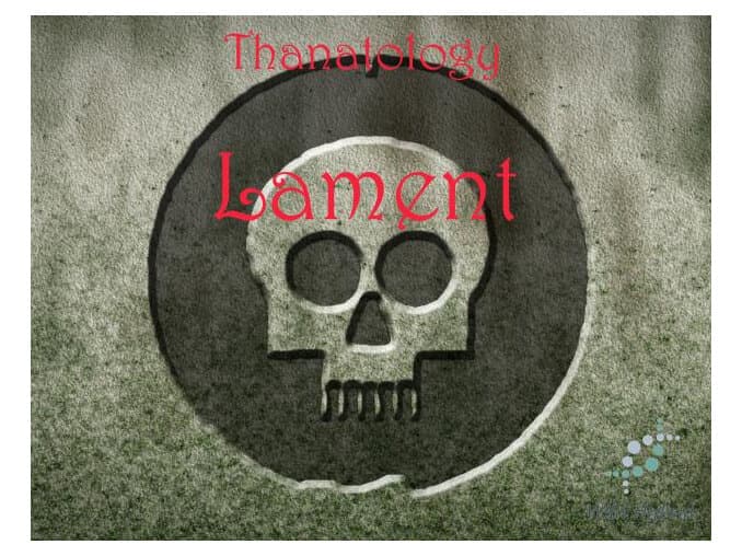 Lament - Wild Hybrid by Wild Hybrid