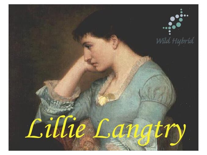 Lillie Langtry by Wild Hybrid