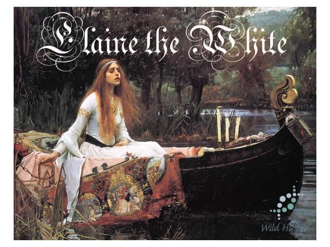 Elaine The White by Wild Hybrid
