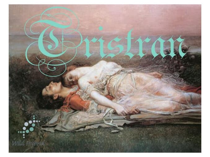 Tristan - Wild Hybrid by Wild Hybrid